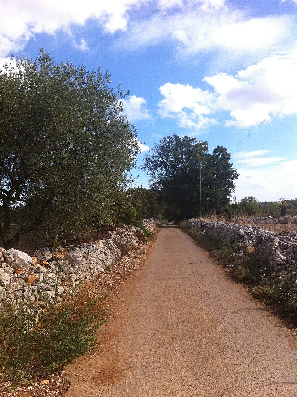 Agriturismo Masseria Montenapoleone